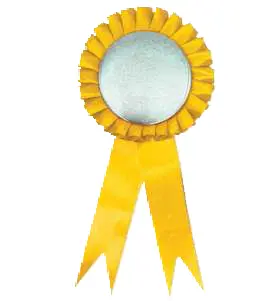 Badge rosette yellow SB2114.webp